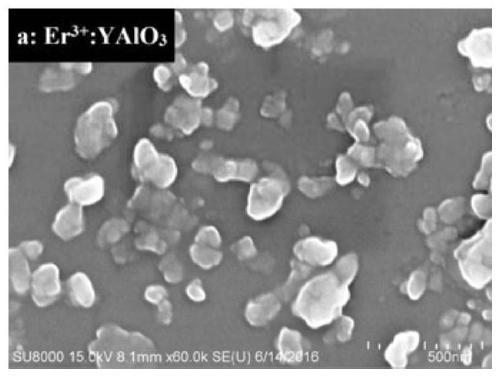 Catalyst for converting Cr(VI) in aqueous solution and its preparation method and application