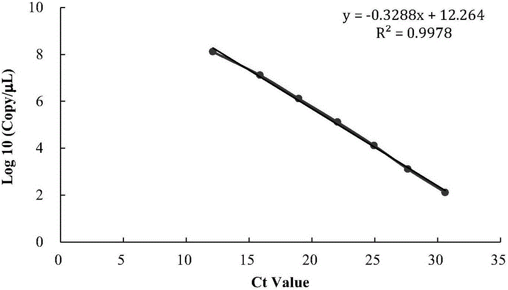 Method for concentrating and detecting norovirus in water based on aminated silica gel