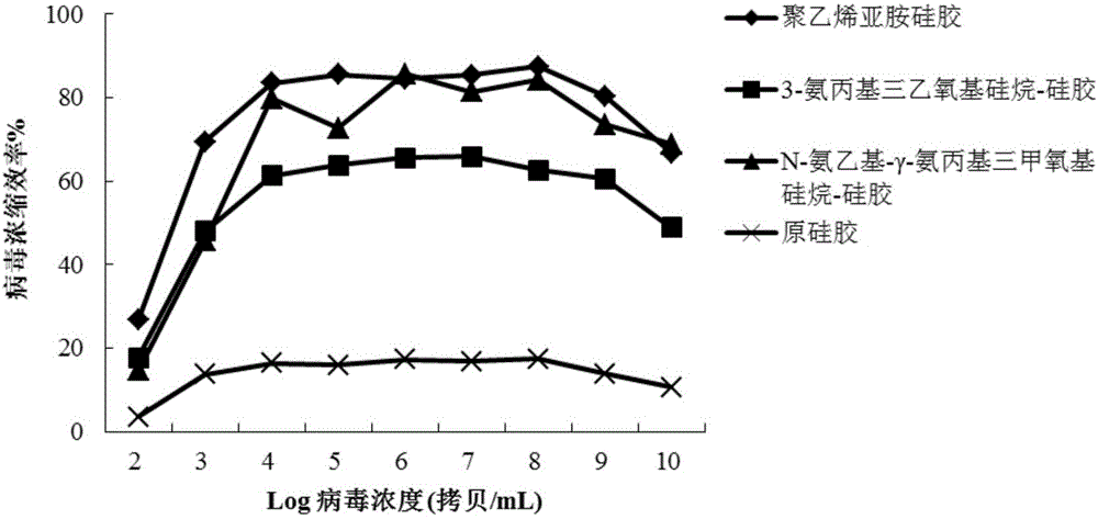 Method for concentrating and detecting norovirus in water based on aminated silica gel