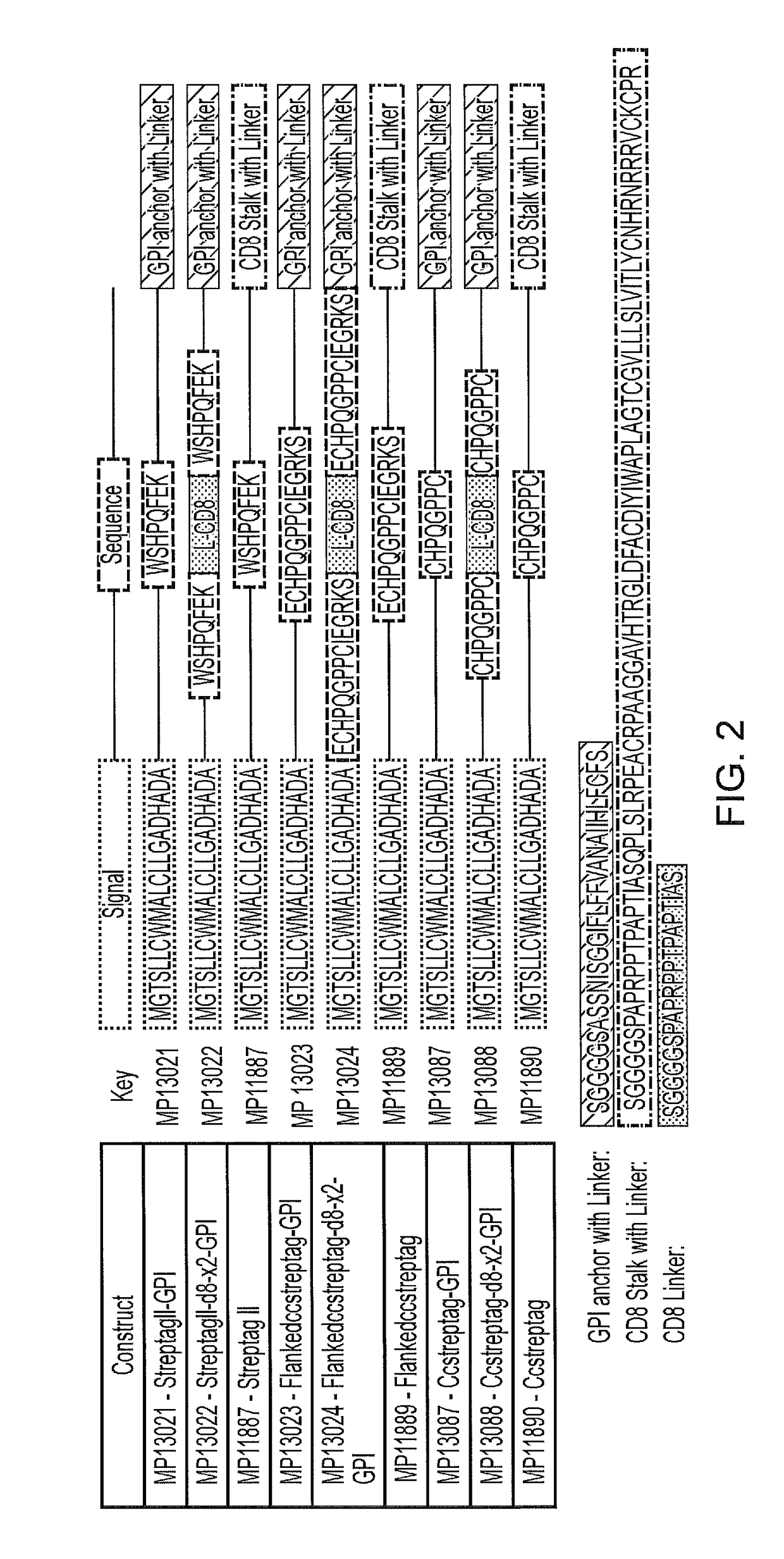 Method and means for purifying retroviral vectors