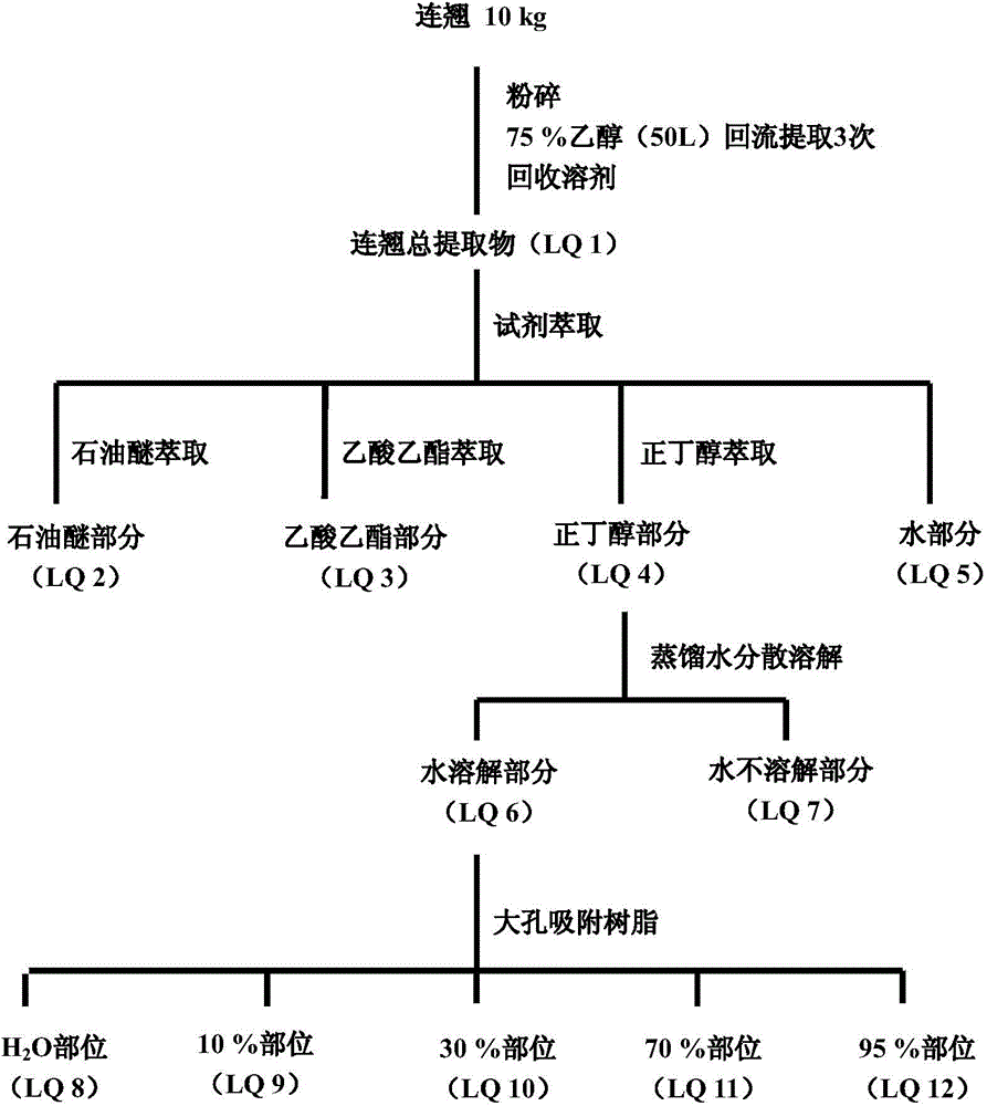 Preparation of fructus forsythiae active site and application of fructus forsythiae active site to Parkinson disease