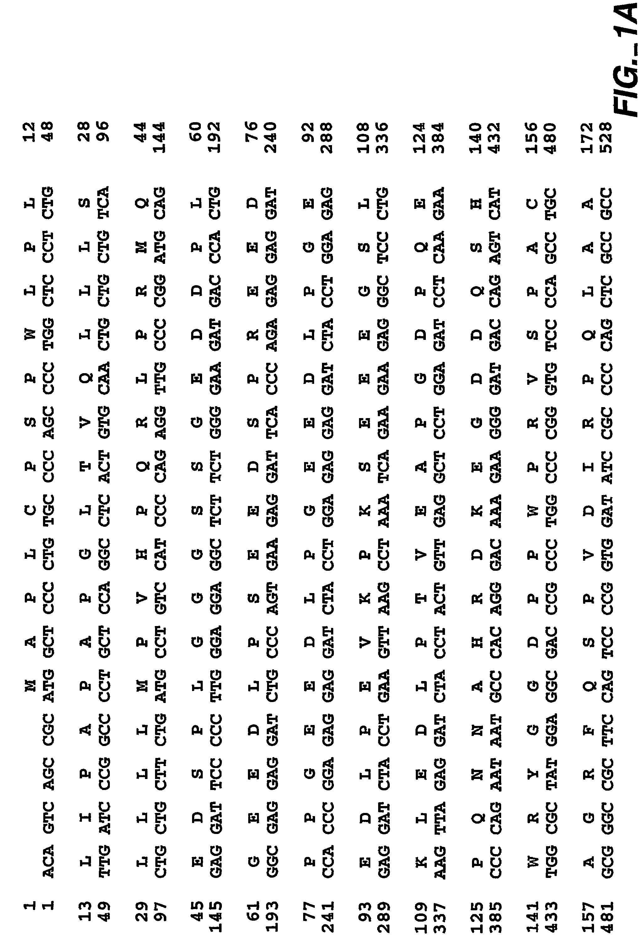 MN/CA IX and cancer prognosis