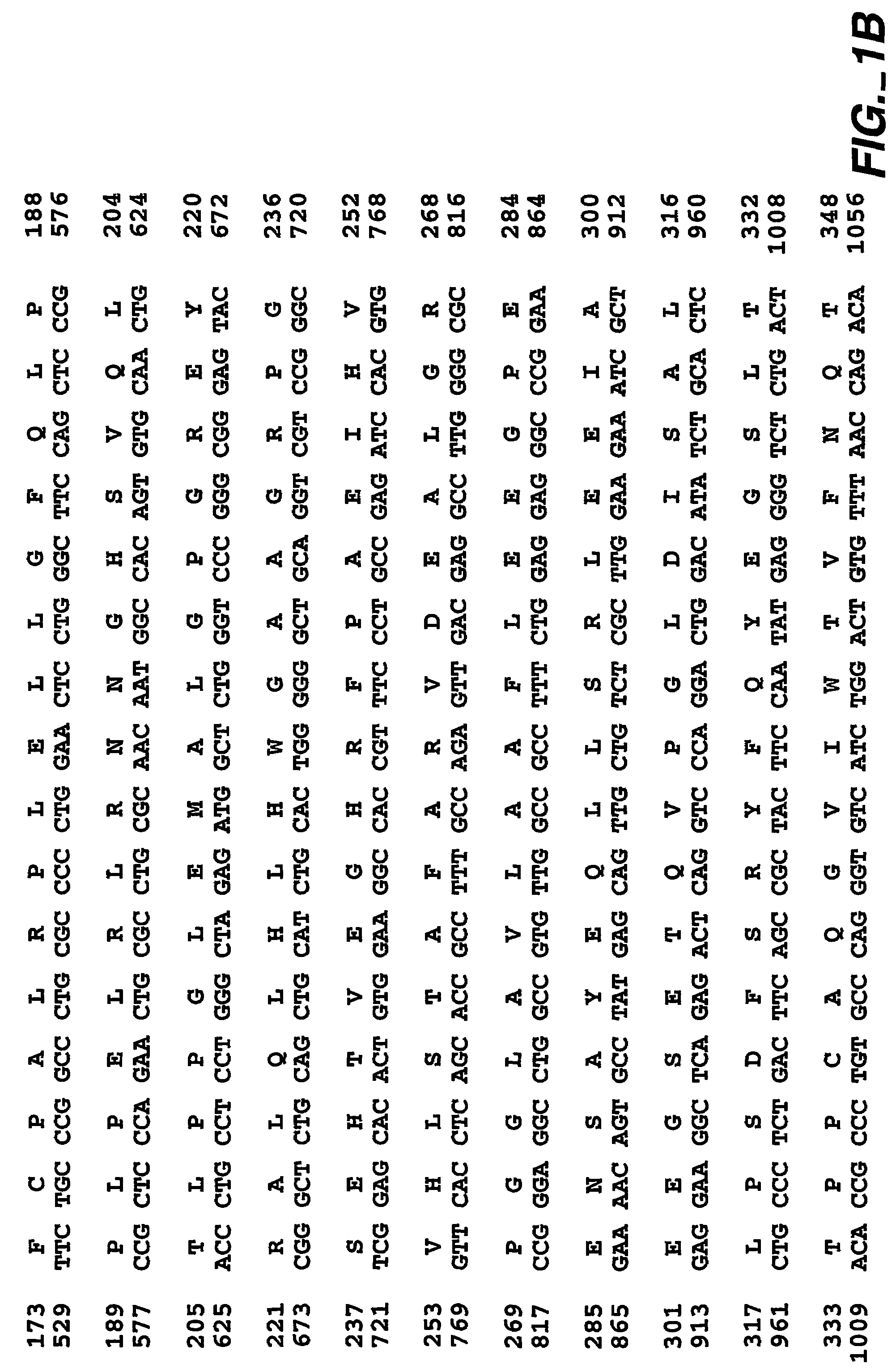 MN/CA IX and cancer prognosis