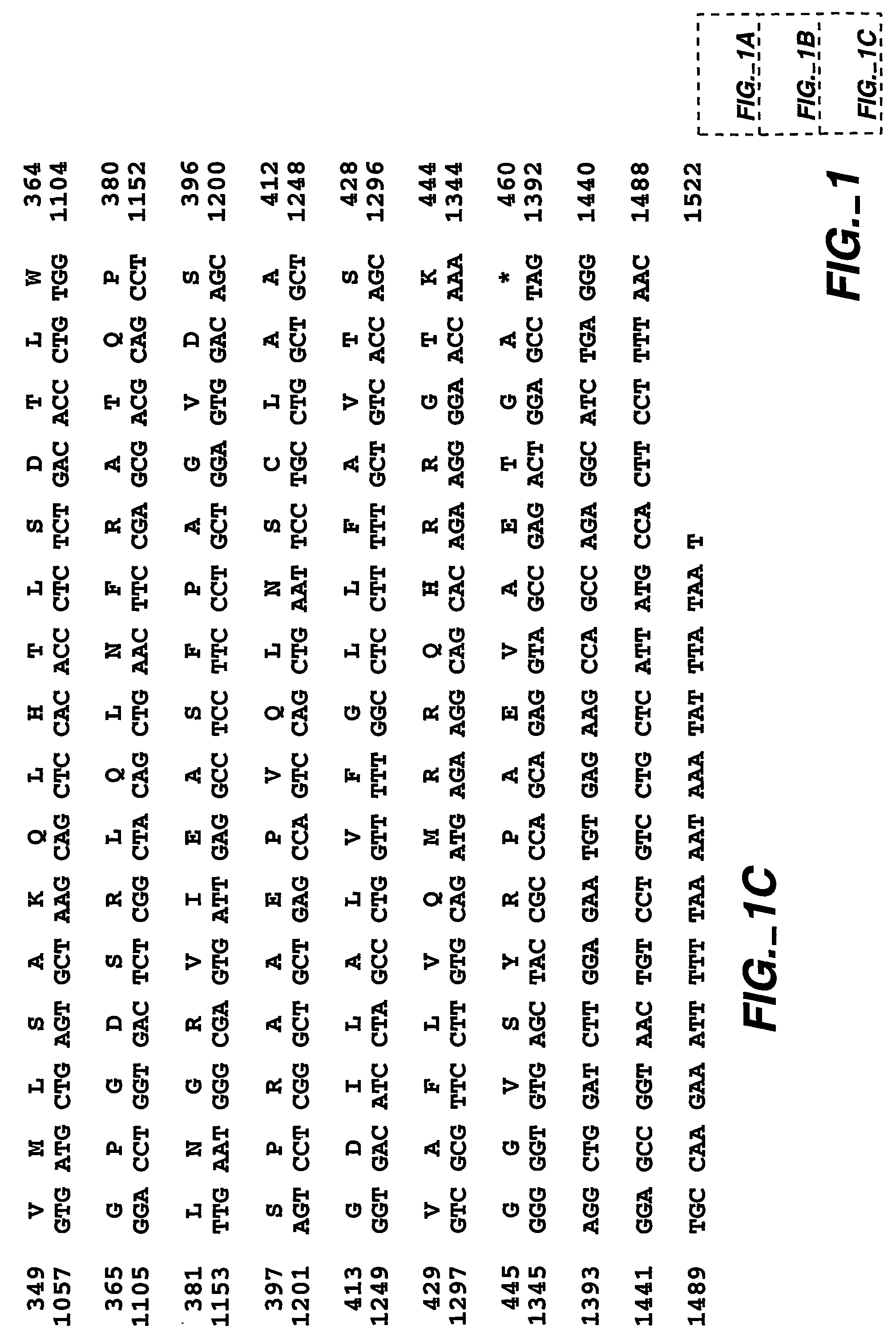 MN/CA IX and cancer prognosis