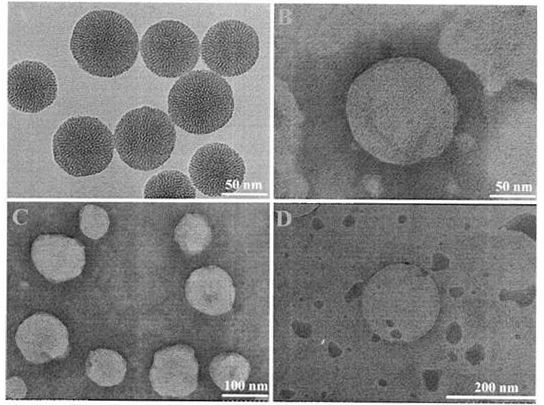 Preparation method of a cationic lipid-mesoporous silicon composite nanocarrier co-loading siRNA and chemotherapy drugs