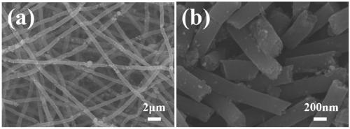 Preparation method and application of flexible catalytic material for water electrolysis