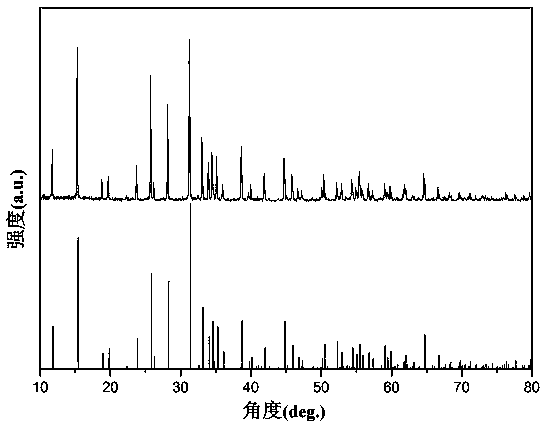 a mn  <sup>2+</sup> Doped yellow long-lasting luminescent material and preparation method thereof