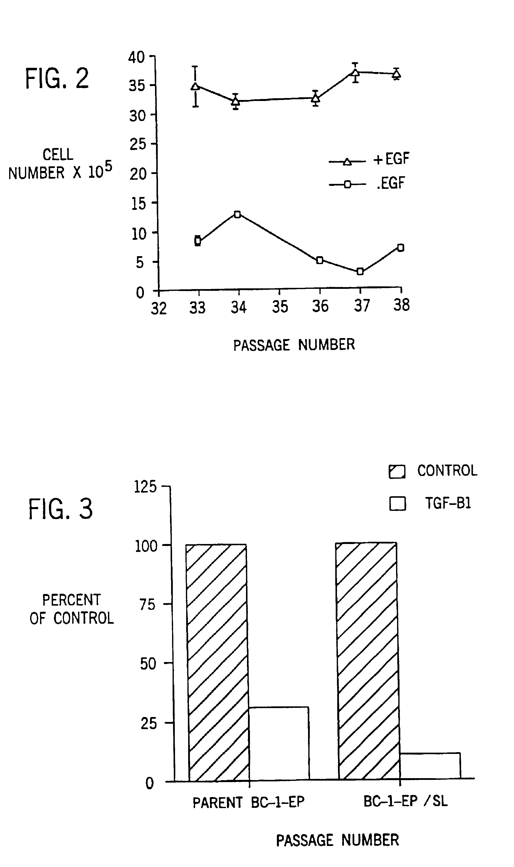 Immortalized human keratinocyte cell line