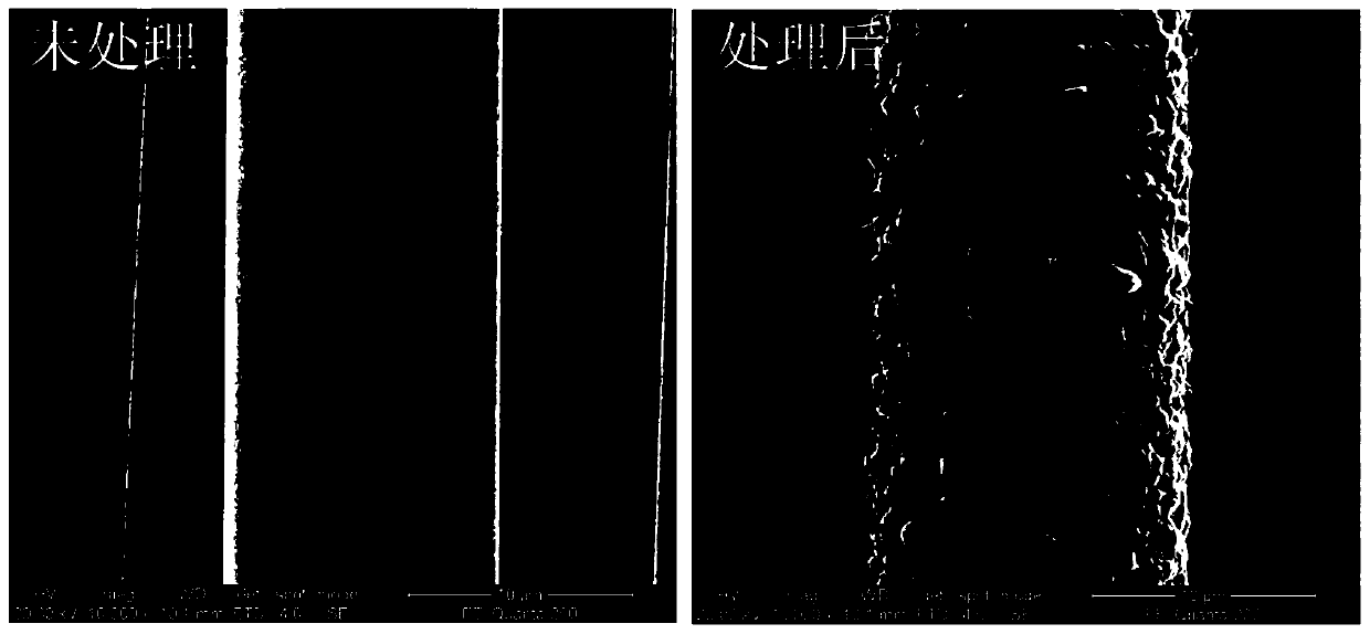 Continuous firing method of boron-containing SiC fiber