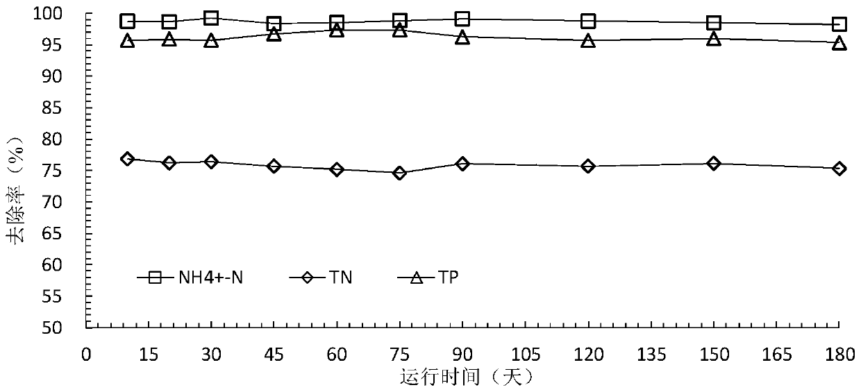 A Remediation System for Groundwater Contaminated by Ammonia Nitrogen-Inorganic Phosphorus