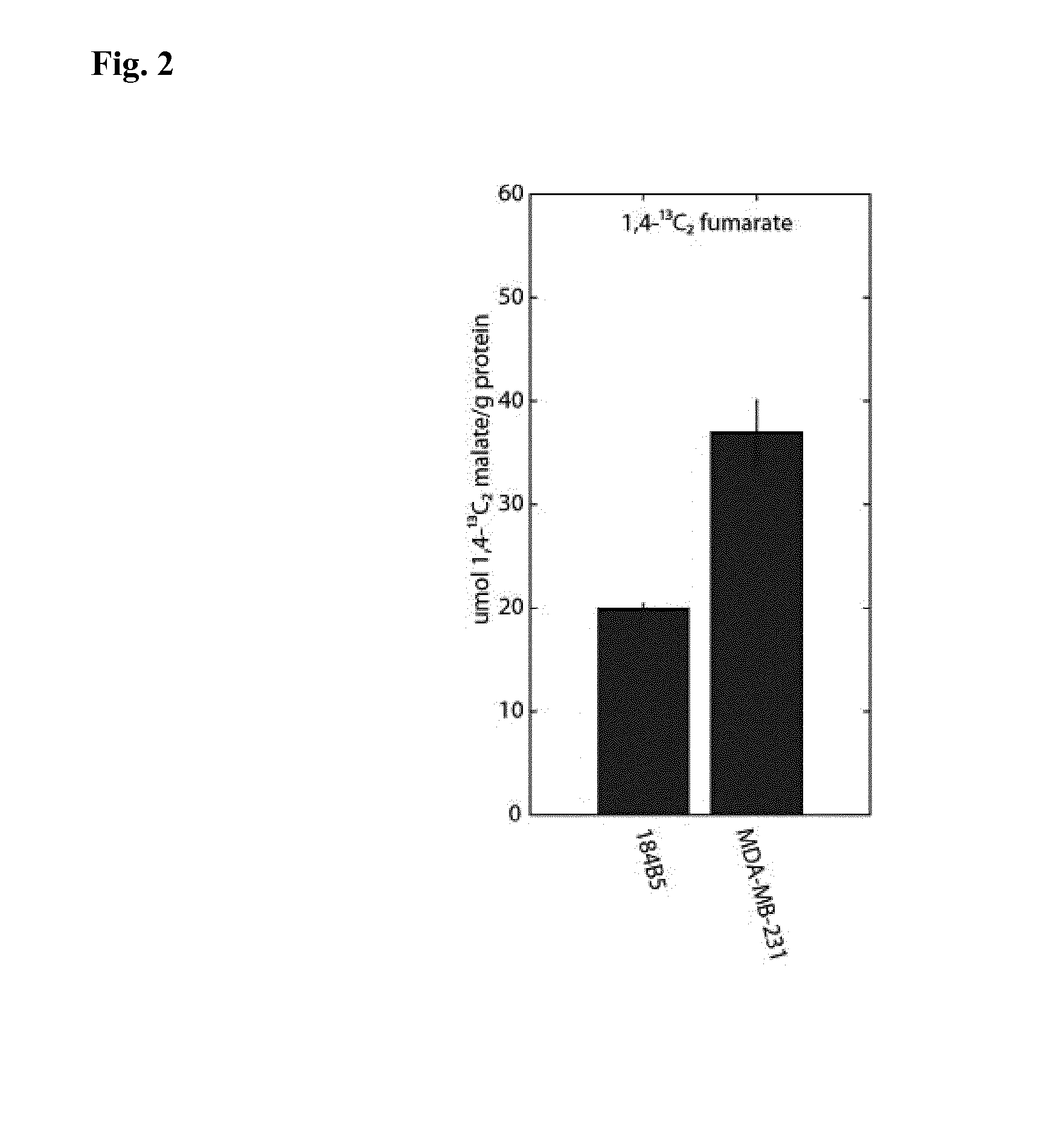 Intra-Operative Cancer Diagnosis Based on a Hyperpolarized Marker