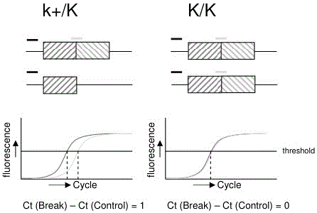 Method for detecting slow-feathering mutation genotypes of cocks