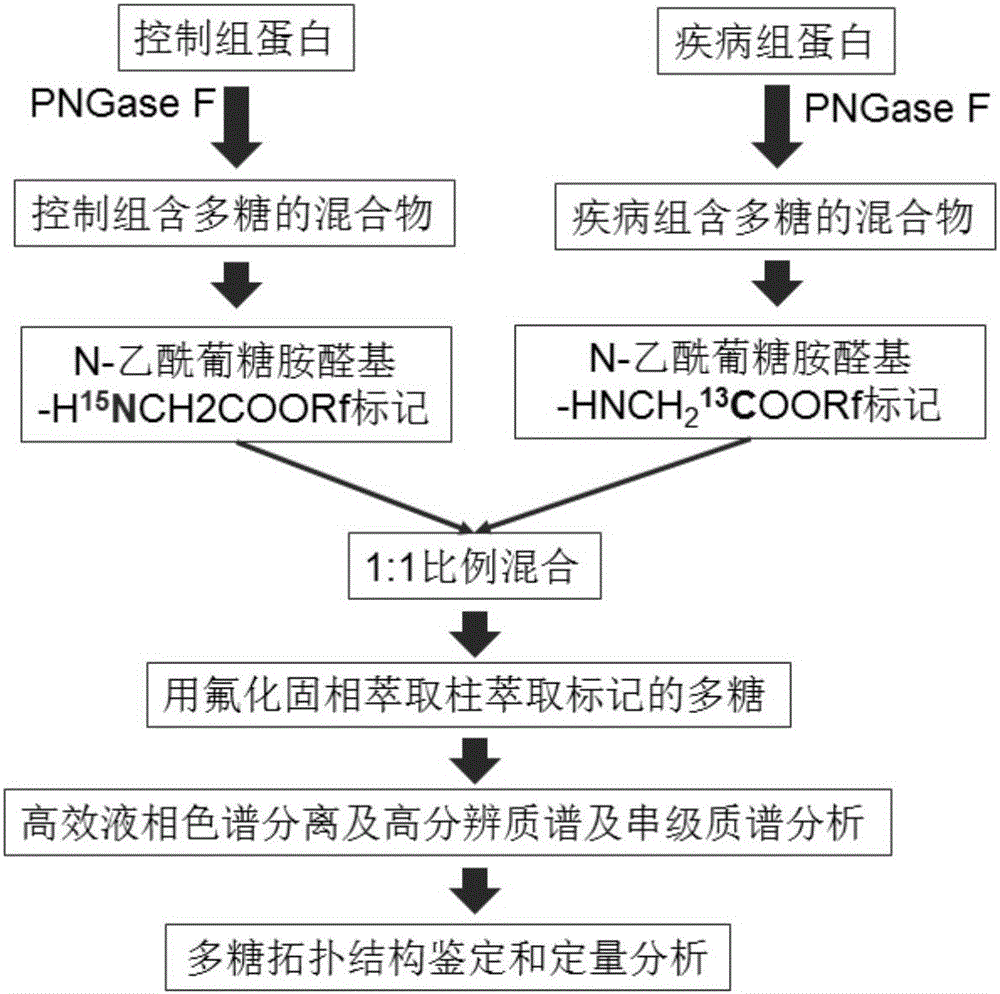 Quantitative analysis method capable of simultaneously realizing enrichment and similar-isobar labeling of polysaccharides