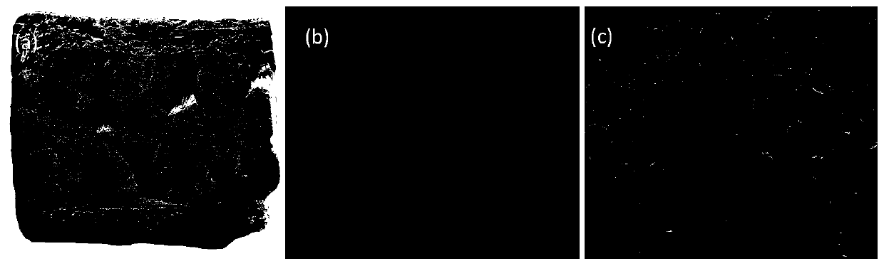 Carbon fiber composite material bone fracture plate and preparation method thereof