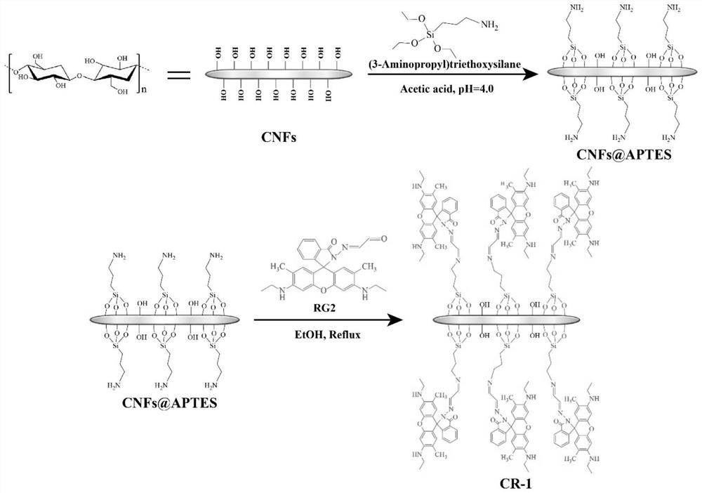 A nano-cellulose-based fluorescent material responsive to iron ions and its preparation method and application