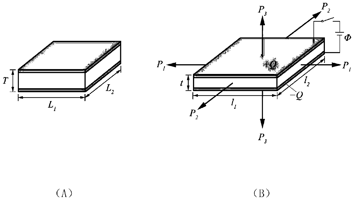 Negative poisson ratio dielectric elastic body-based novel electrical active polymer