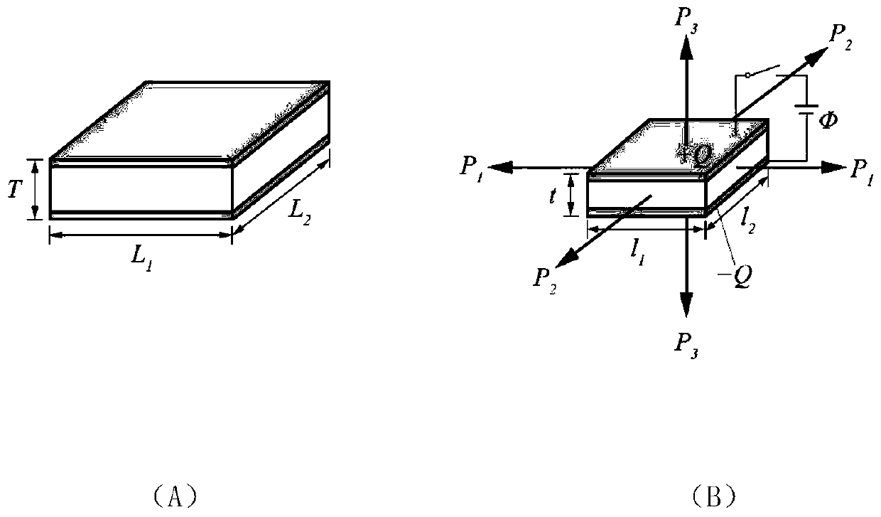 Negative poisson ratio dielectric elastic body-based novel electrical active polymer