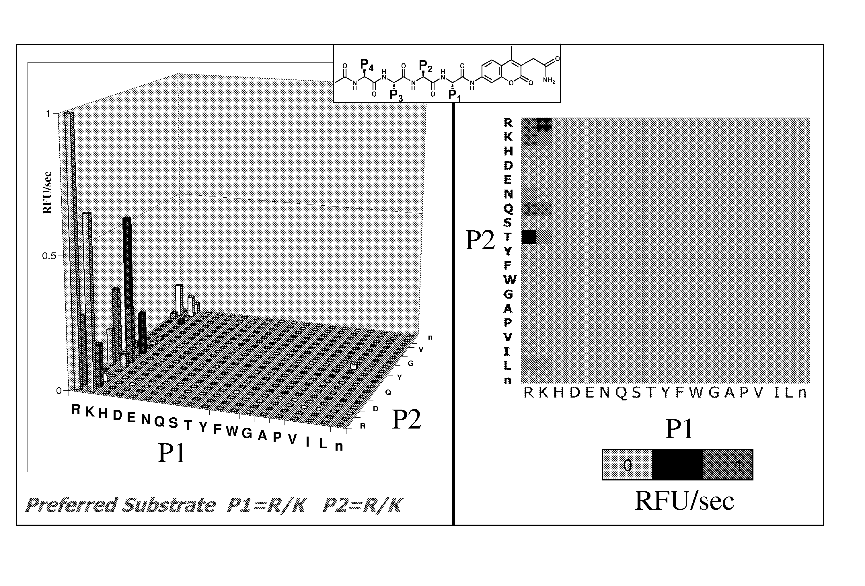 Flavivirus protease substrates and inhibitors