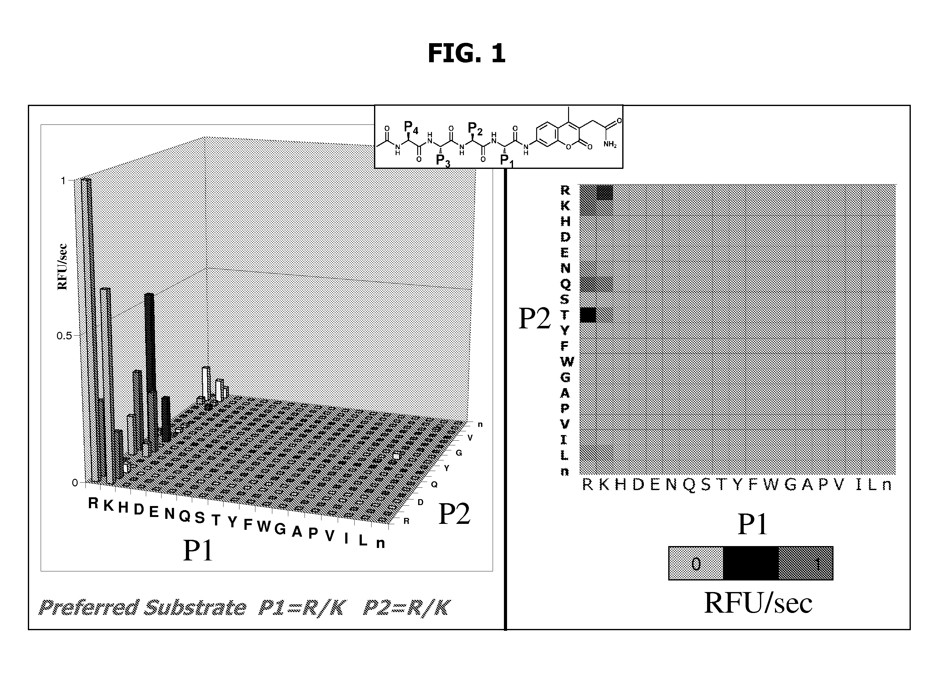 Flavivirus protease substrates and inhibitors