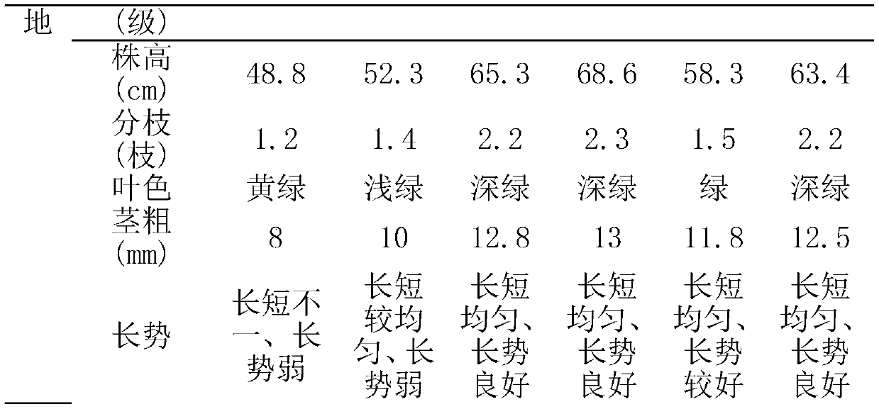 Fertilizer special for scutellaria baicalensis Chinese medicinal material and preparation method thereof