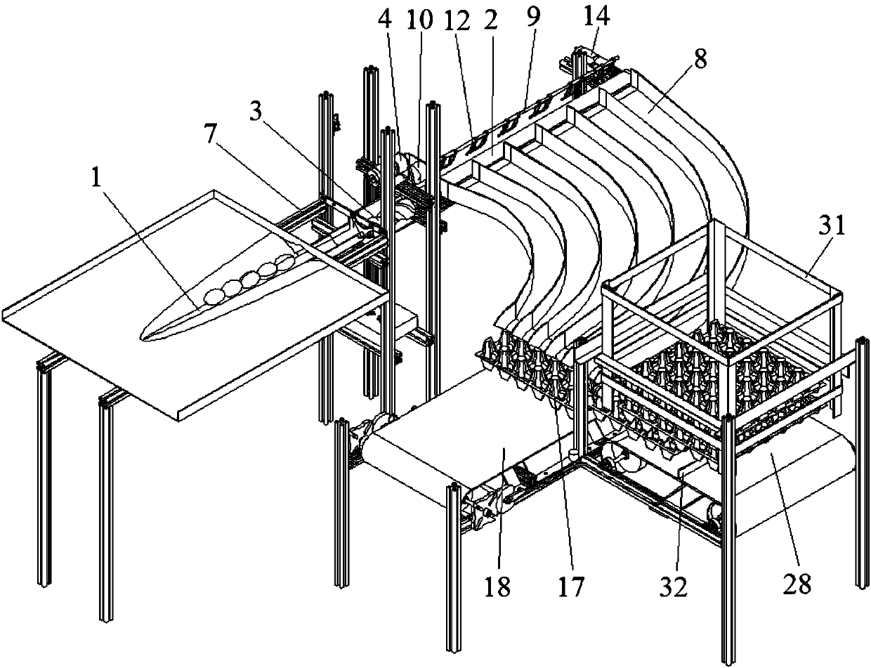 A poultry egg automatic packing machine