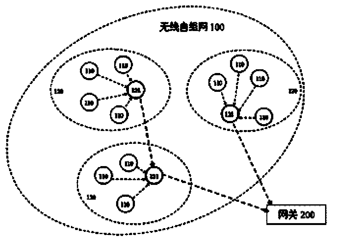 Remote video transmission system