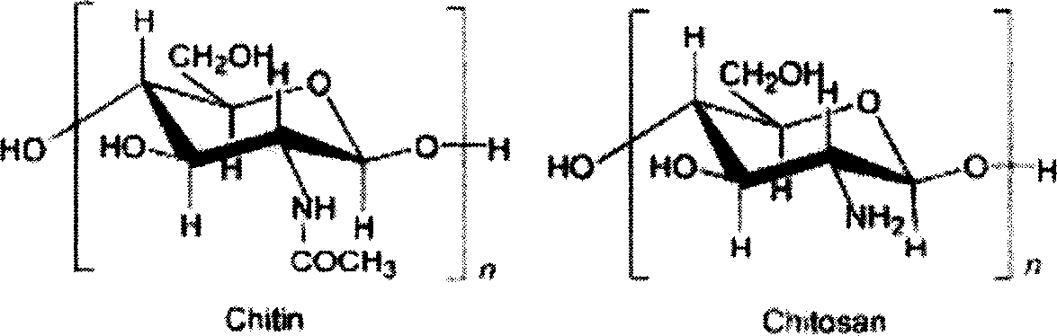 Preparing process and application of nano chitosan particle