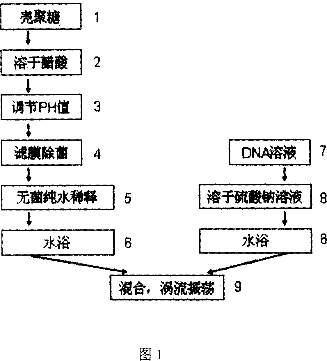 Preparing process and application of nano chitosan particle