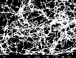 Preparation method of batch preparation of boron nitride nanotube