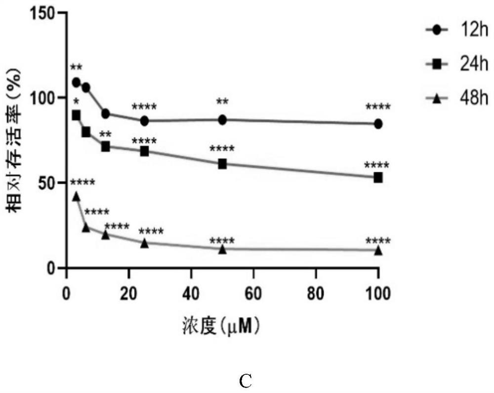 Medicine for treating or preventing human cervical cancer as well as preparation method and application thereof