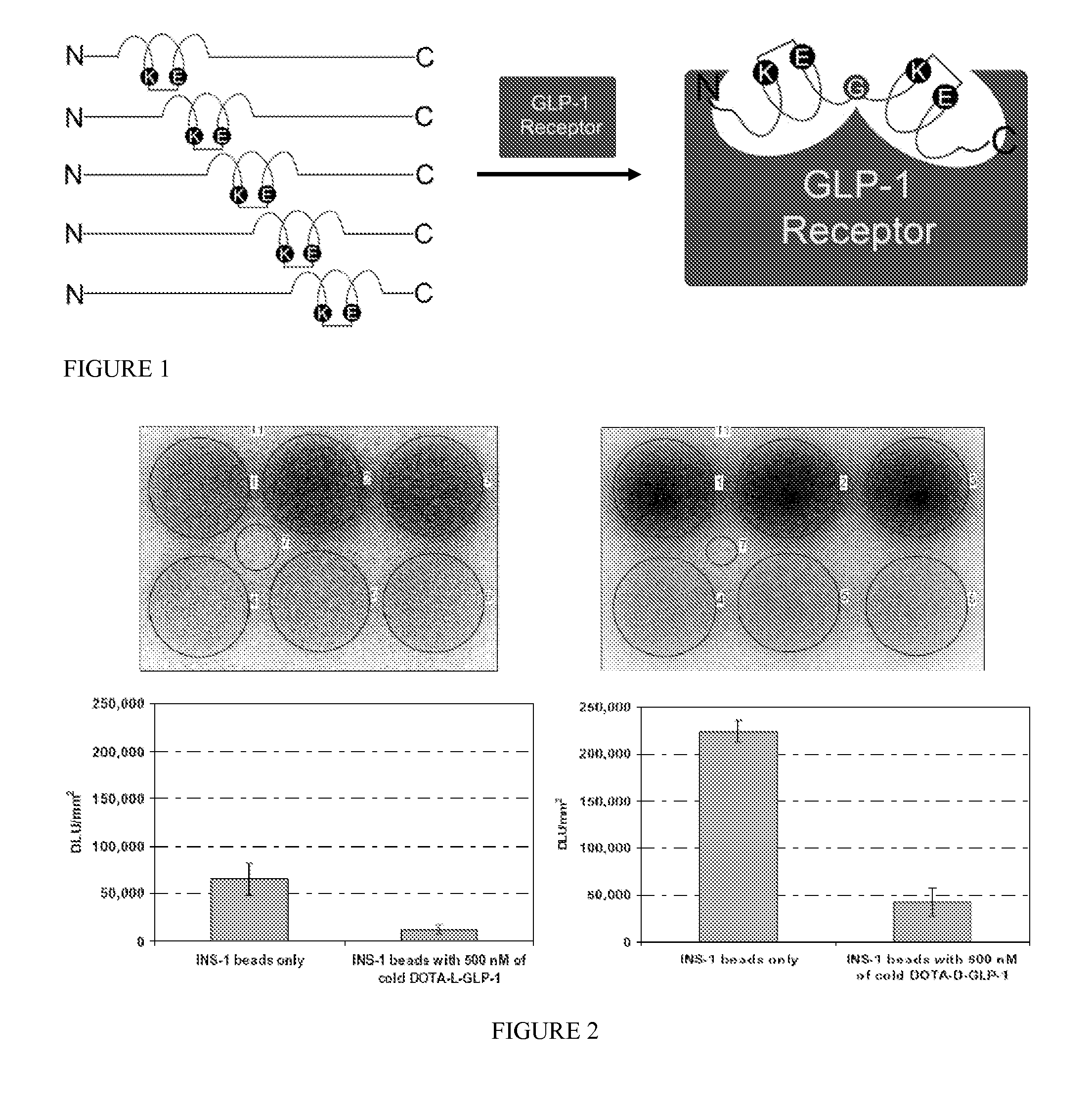 Cyclic Peptide Analogues For Non-Invasive Imaging of Pancreatic Beta-Cells