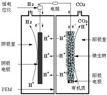 Method for recovering nickel from nickel-containing wastewater by using microbial electrolytic cell