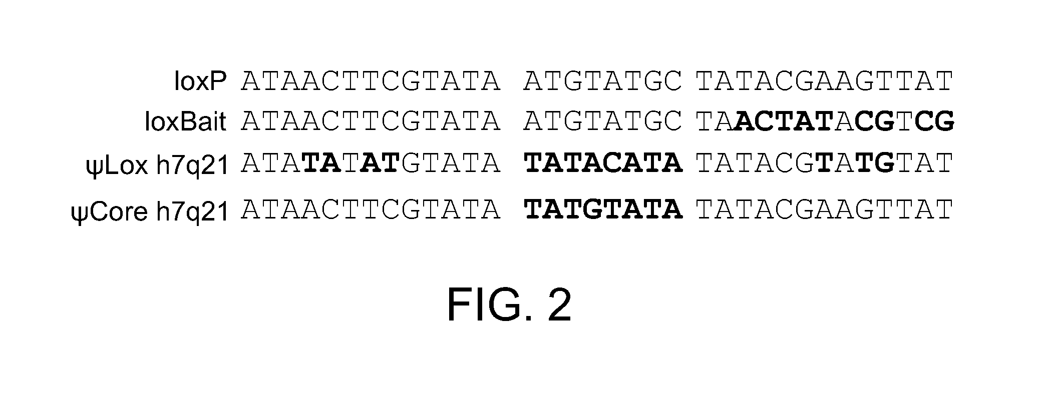 Mutants of Cre Recombinase