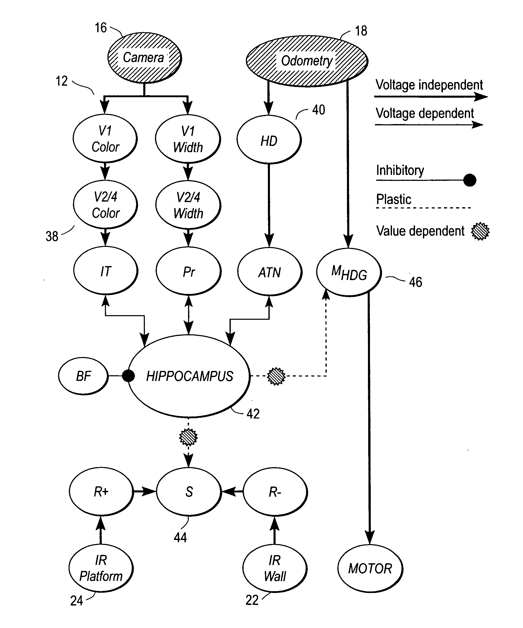 Mobile brain-based device having a simulated nervous system based on the hippocampus