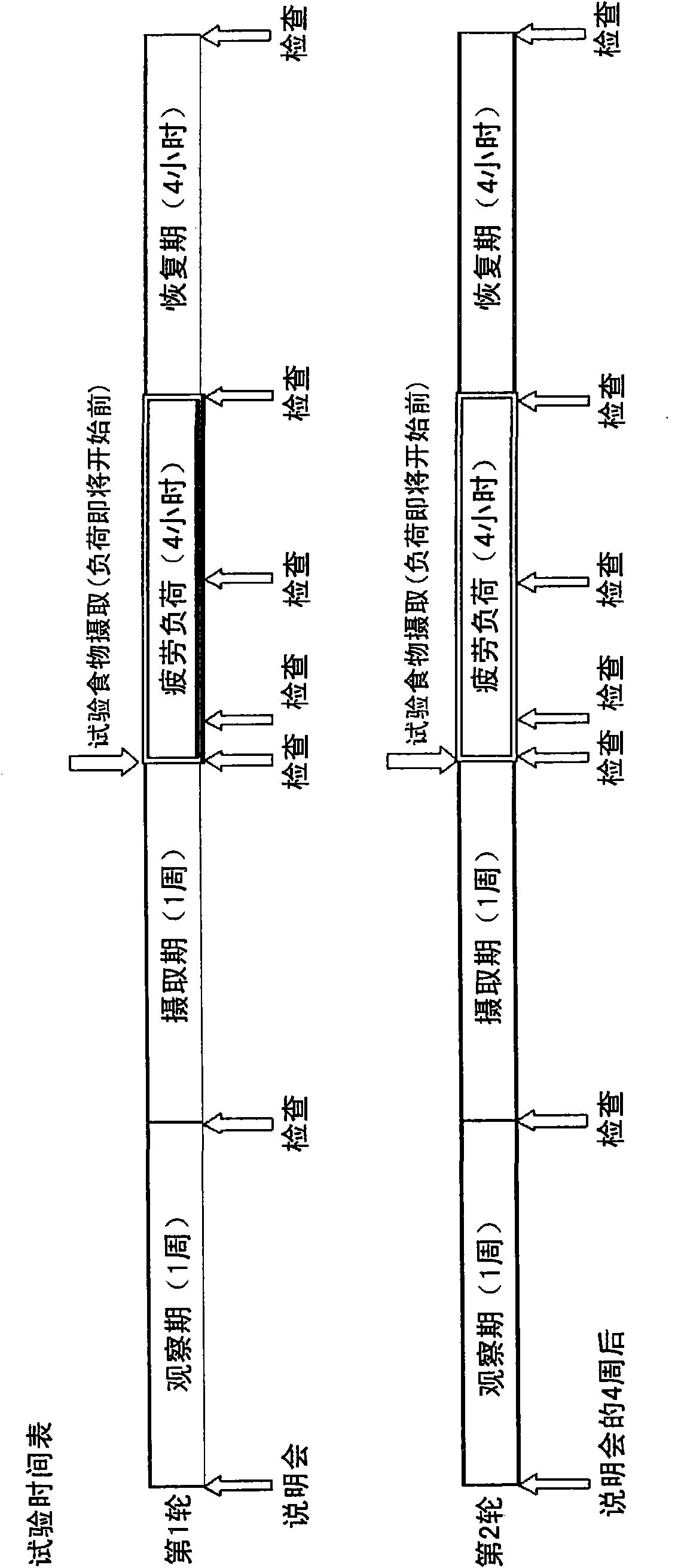 Anti-fatigue agent comprising amino acid composition