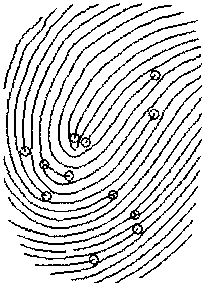 Fingerprint and finger vein combined recognition algorithm