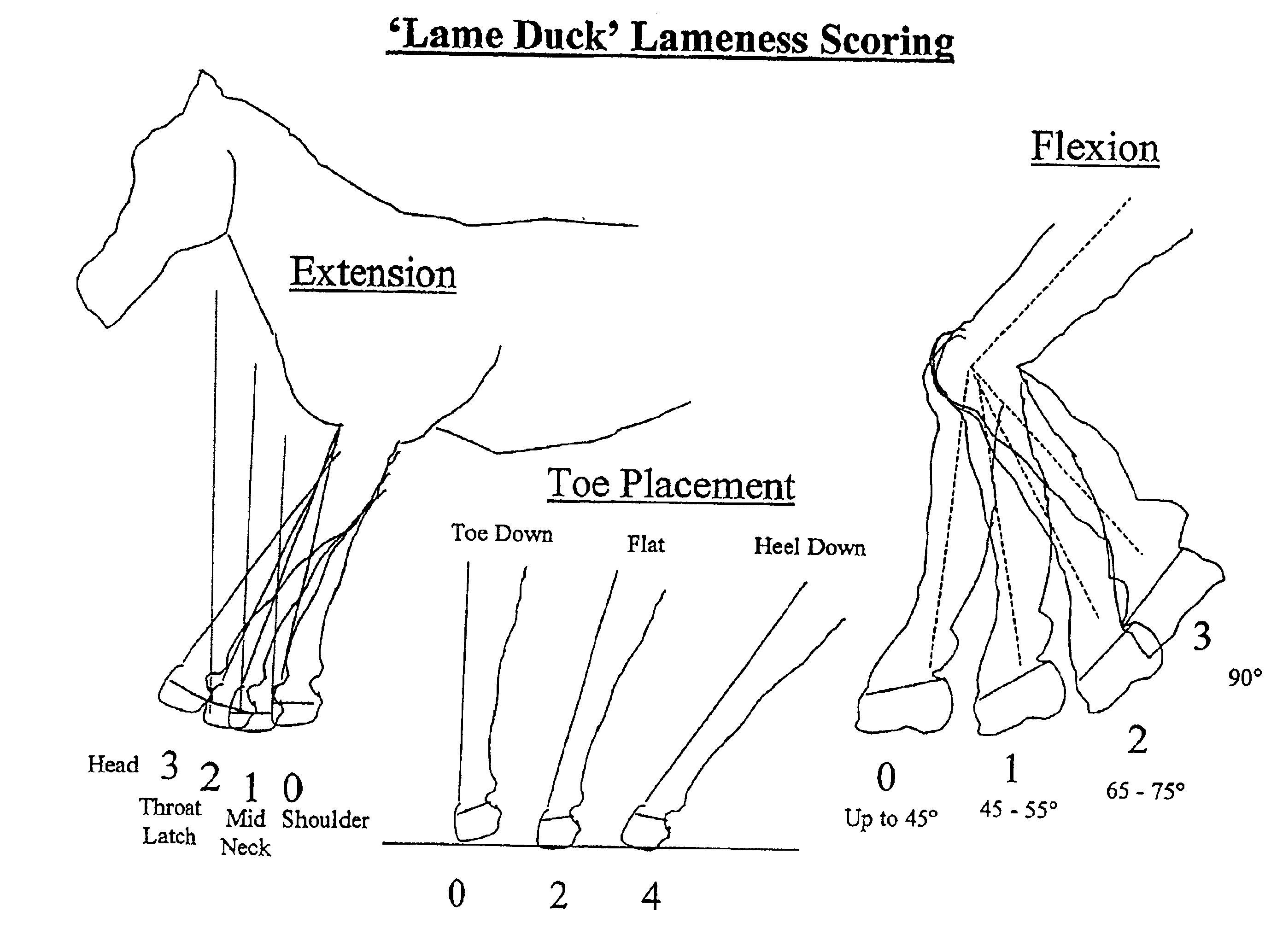 Methods for treating joint inflammation, pain, and loss of mobility