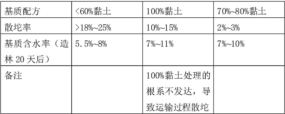 A kind of arid stony sun slope Chinese pine seedling raising and afforestation method