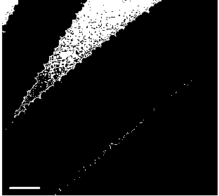 Preparation method for electrostatic spinning nano-fiber adopting porous structure