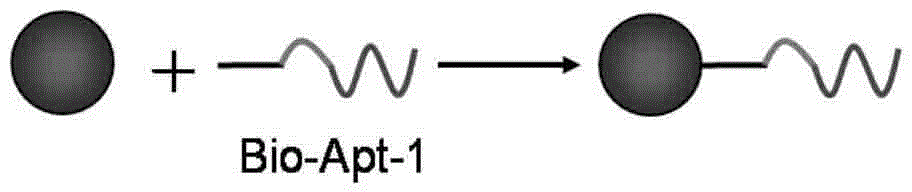 Colocalization trigger chain type hybridization reaction based aptamer sensor for detecting adenosine