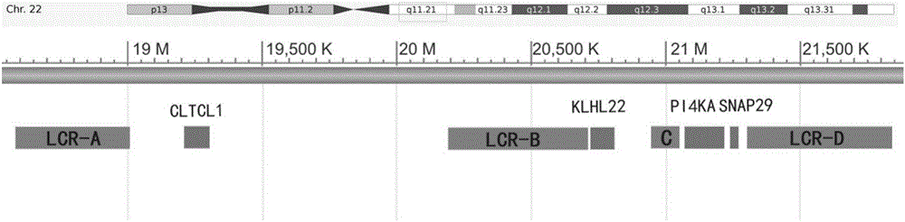 Method for detecting 22q11.2 copy number deletion