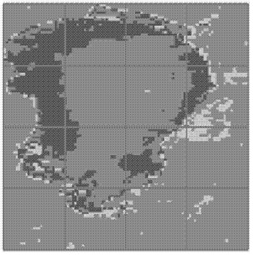 Snow passive microwave mixed pixel decomposition method based on classified information of five types of ground features