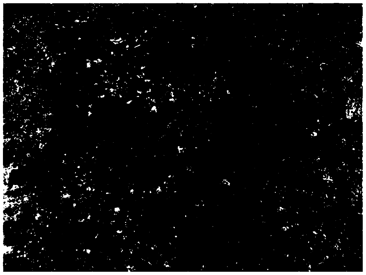 Microbial degradation method of coal waste and application thereof