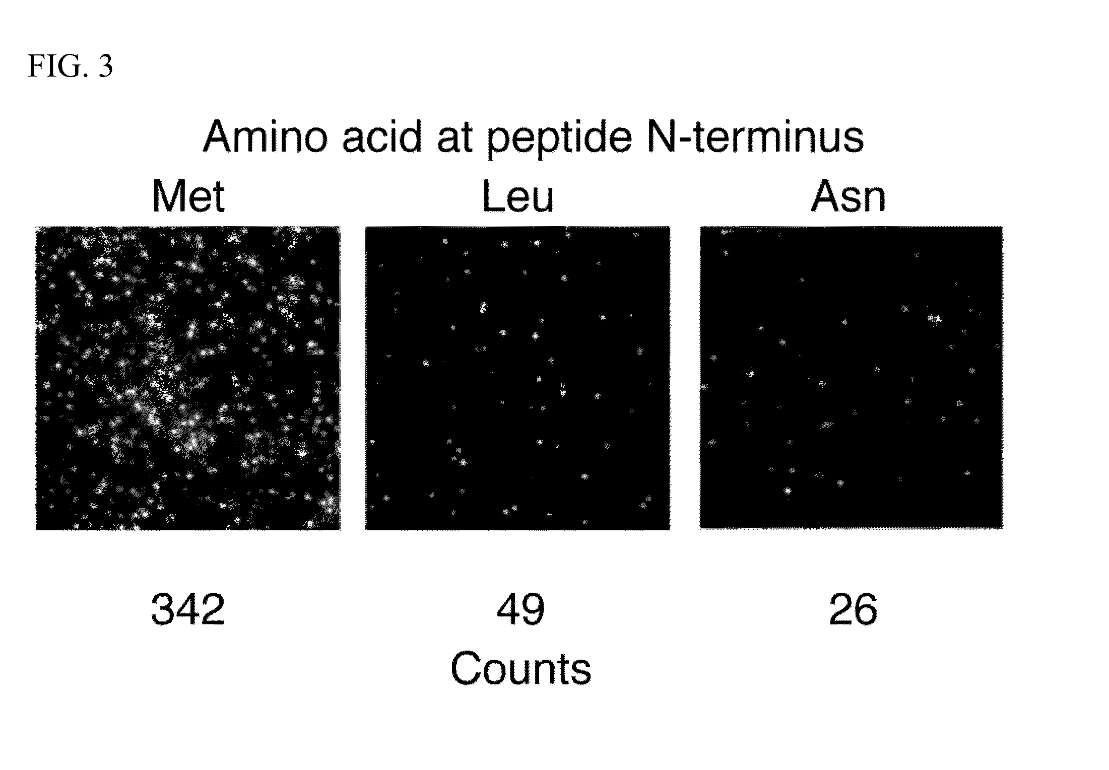 Molecules and methods for iterative polypeptide analysis and processing