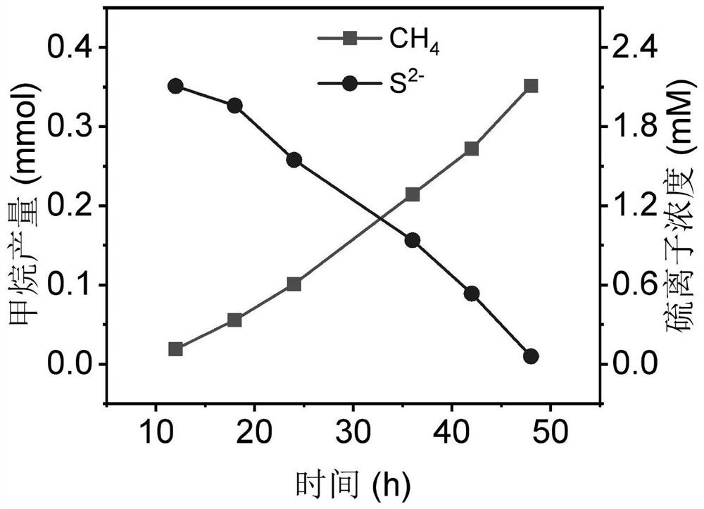 A kind of bioelectrochemical reaction device and gas purification method