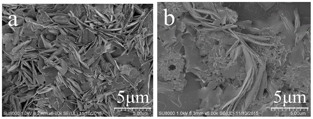 Phthalic acid derivative gelator and preparation method and application thereof