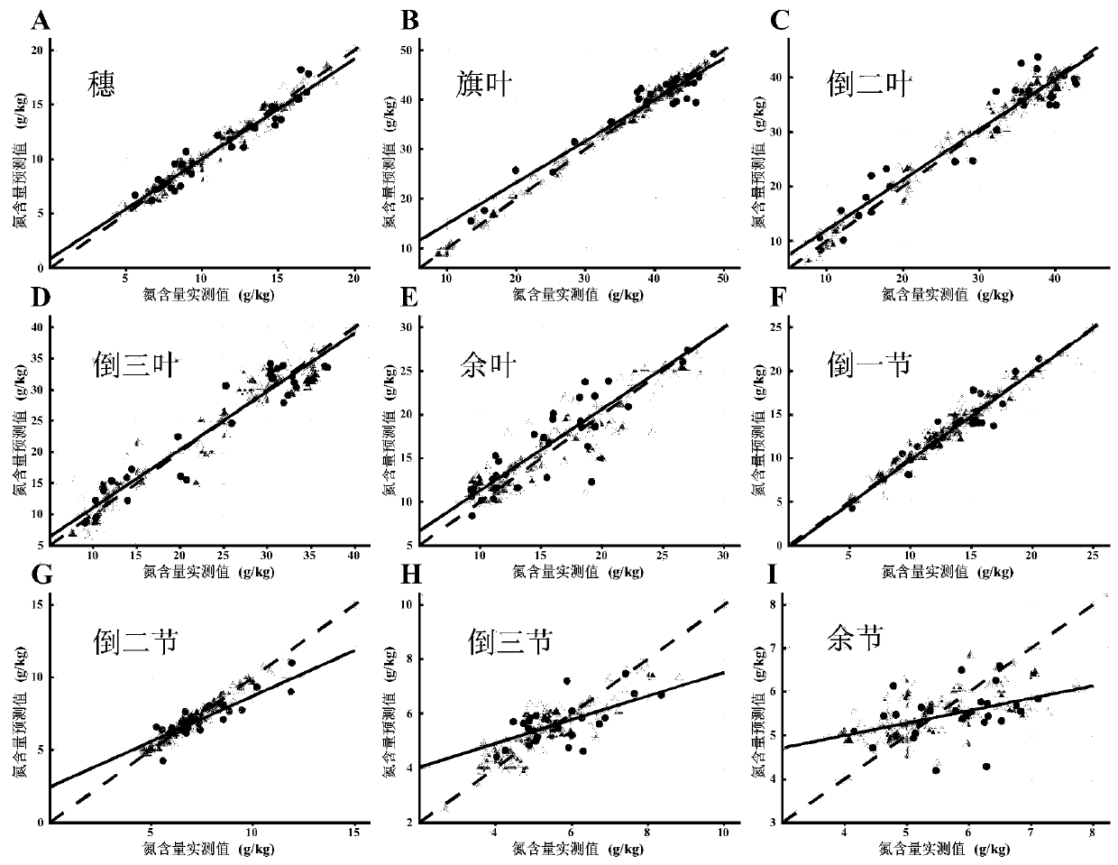 Method for rapidly determining nitrogen contents of different organs of plant