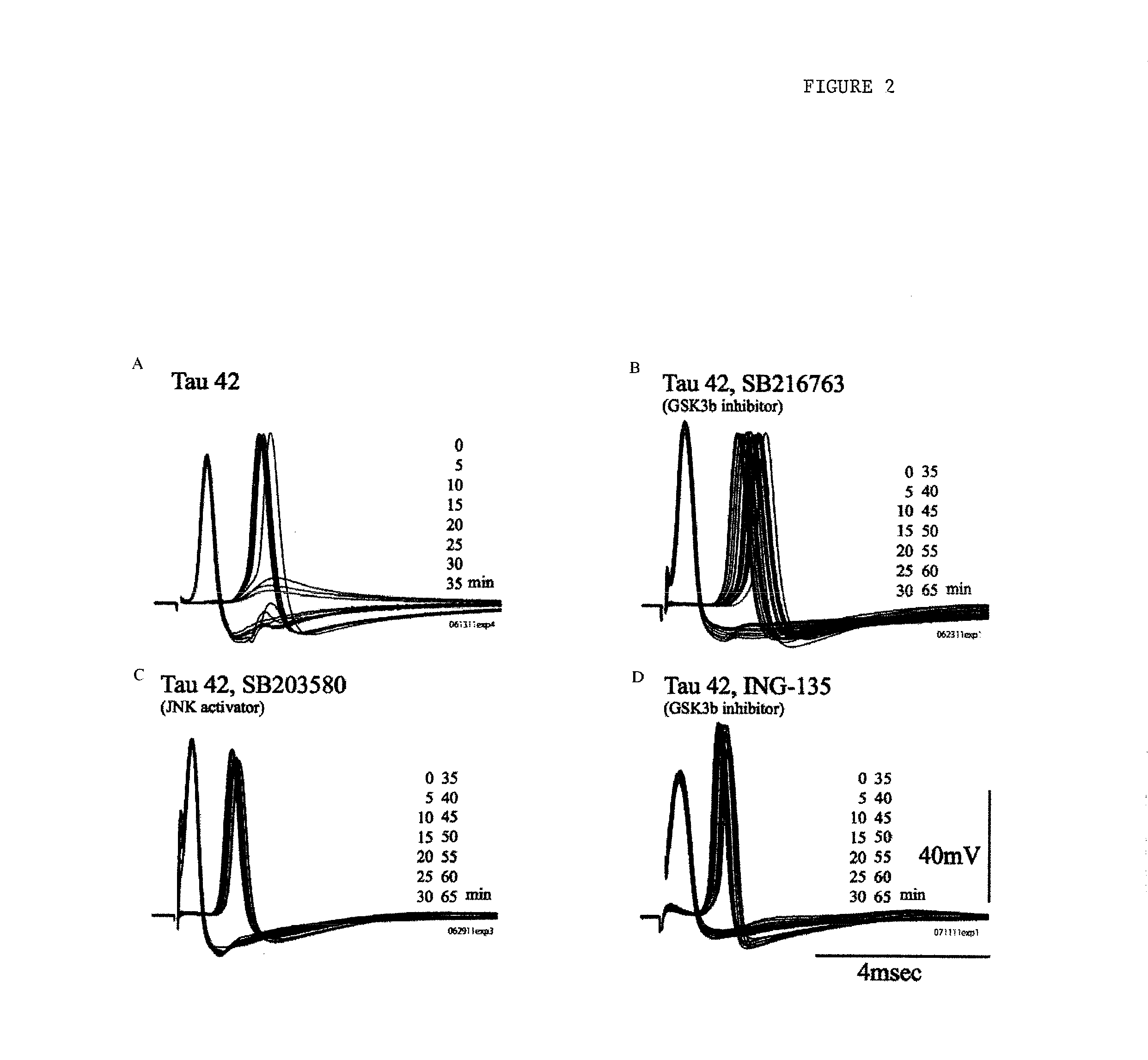 Methods for treating neurodegenerative diseases and for identifying agents useful for treating neurodegenerative diseases