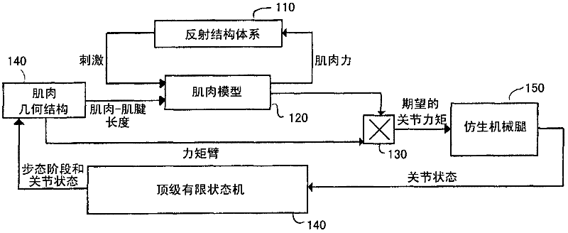 Model-based neuromechanical controller for a robotic leg