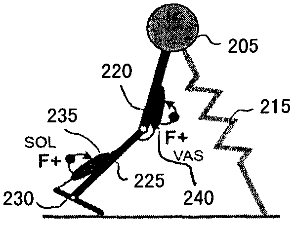 Model-based neuromechanical controller for a robotic leg